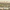 02 Thames Border - Original