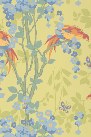 Loriini——贾斯帕
